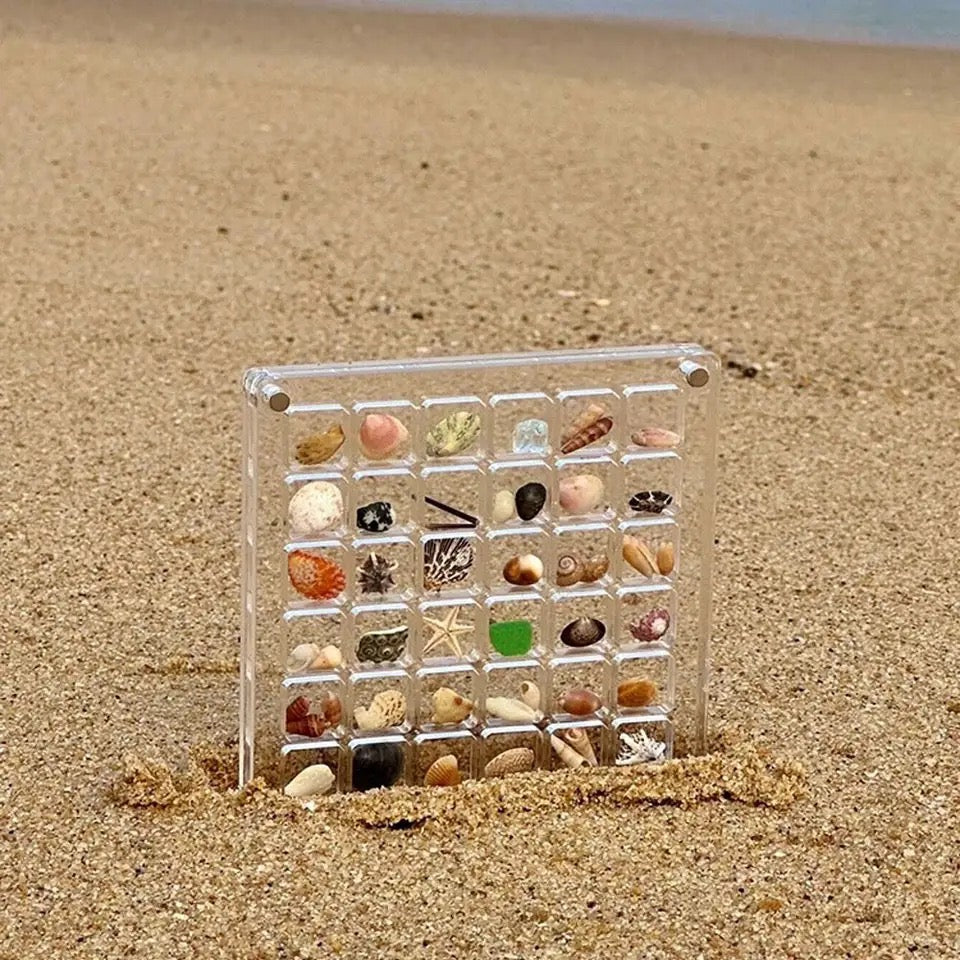 Sea Shell Display Case